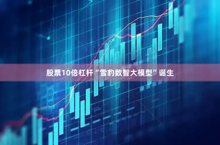 股票10倍杠杆“雪豹数智大模型”诞生
