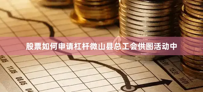 股票如何申请杠杆微山县总工会供图活动中