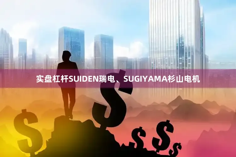 实盘杠杆SUIDEN瑞电、SUGIYAMA杉山电机
