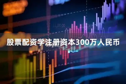 股票配资学注册资本300万人民币