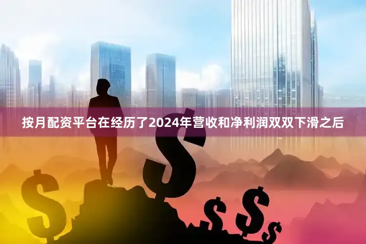 按月配资平台在经历了2024年营收和净利润双双下滑之后